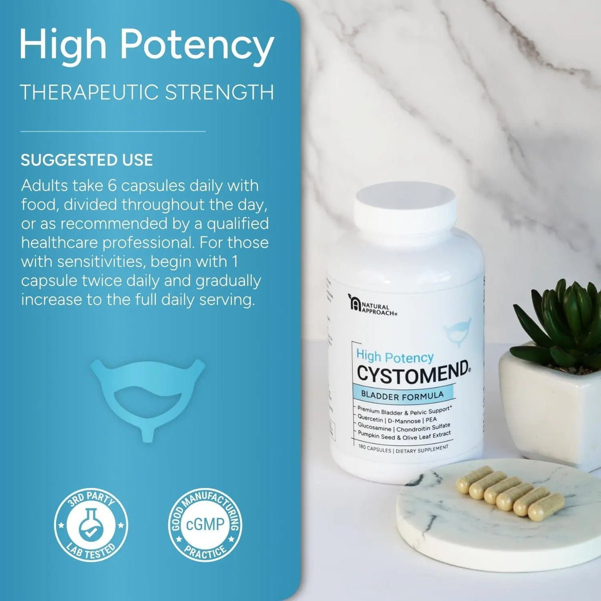 CystoMend Bladder & Pelvic Discomfort Formula (High Potency) - Supports Less Flares & Urgency* - Premium Bladder Support for Women & Men - USA Manufactured & Third-Party Tested - 180 Capsules - PrimeBioHealth - canada supplements