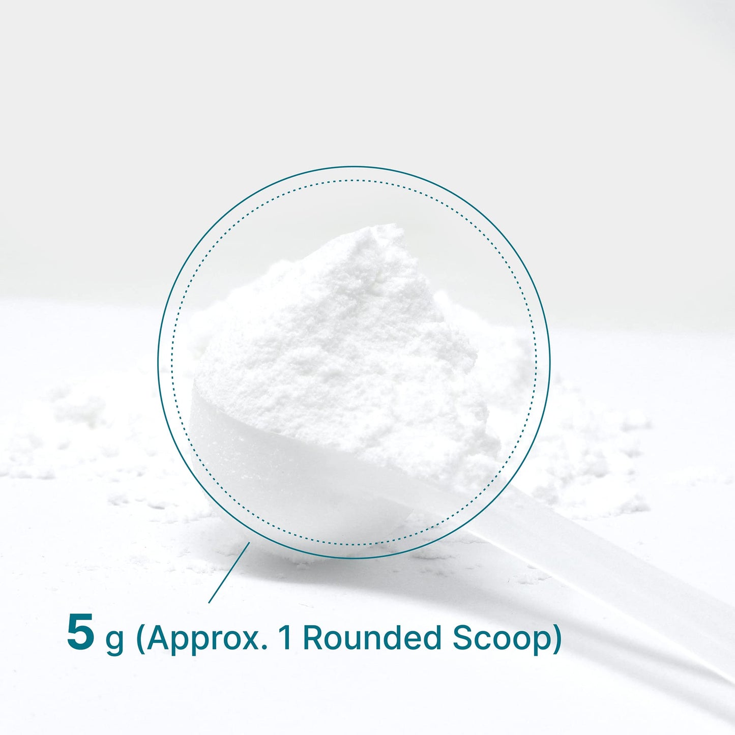 DEAL SUPPLEMENT Instant Creatine Monohydrate Powder, 5g Per Serving – 60 Servings | Micronized, Unflavored, Fast Absorbing Formula - PrimeBioHealth - canada supplements