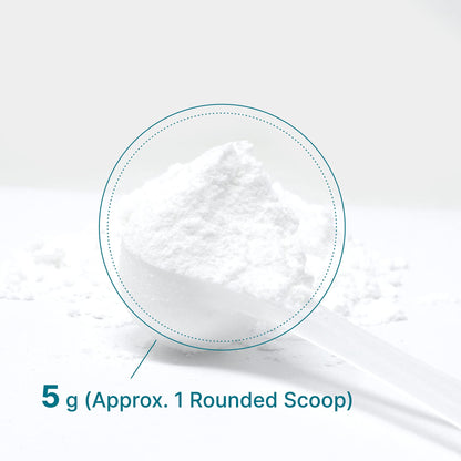 DEAL SUPPLEMENT Instant Creatine Monohydrate Powder, 5g Per Serving – 60 Servings | Micronized, Unflavored, Fast Absorbing Formula - PrimeBioHealth - canada supplements