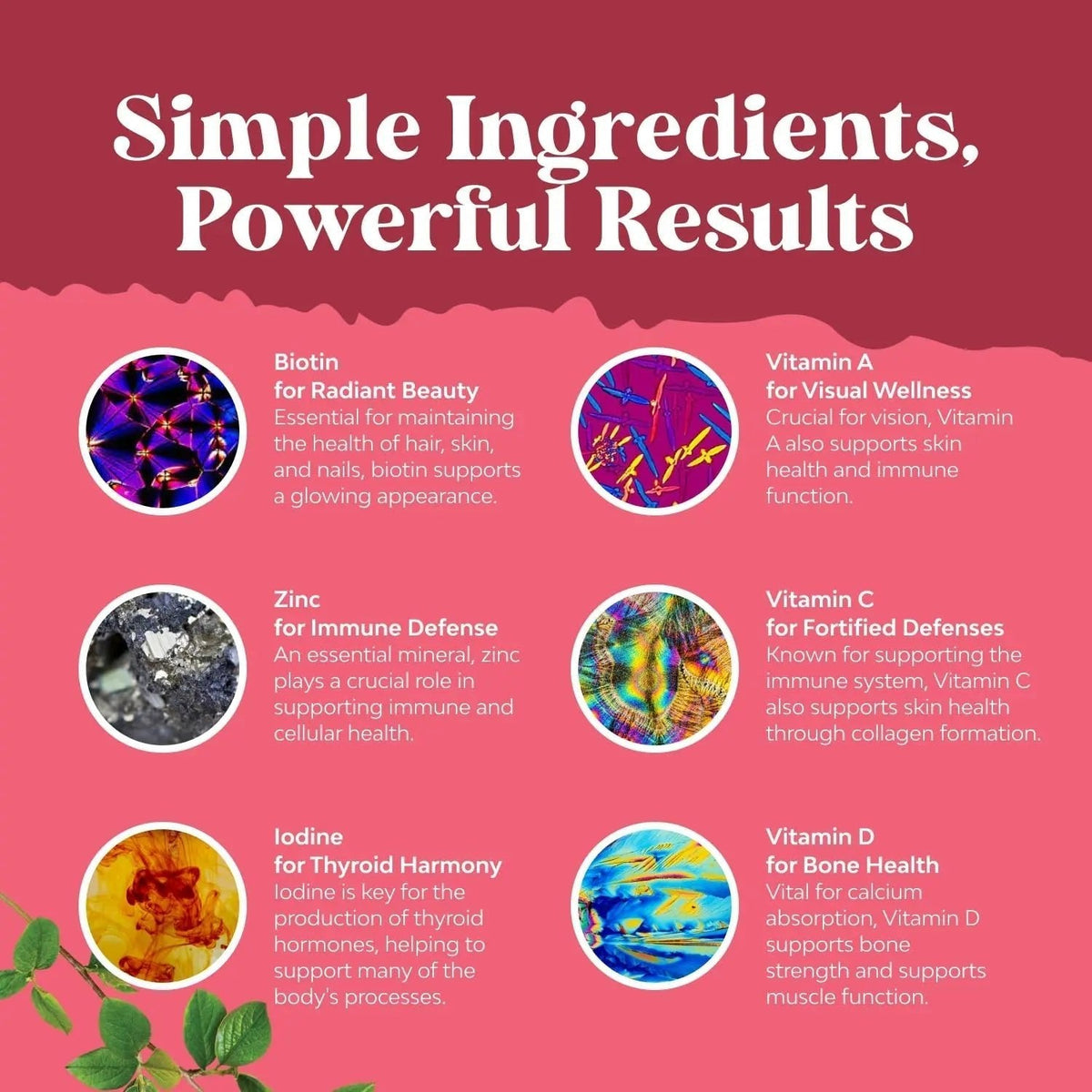 Delicious Daily Multivitamin for Women Gummies - Women's Multivitamin Gummies for Adults Energy and Immunity - PrimeBioHealth - canada supplements