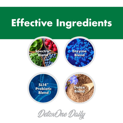 DetoxOne Daily Gut Health Powder* | Supports Normal/Healthy Digestive Function*| Promotes Detoxification*| Boost Energy & Improves Nutrient Absorption* - PrimeBioHealth - canada supplements