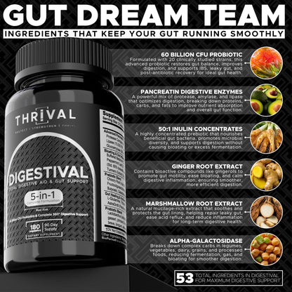 DIGESTIVAL 5-in-1 Gut Health Formula: Probiotics, Prebiotics, Enzymes, Gut Healing & Bloat Relief with 53 Ingredients, 60 Billion CFU, and Advanced Support for IBS, - PrimeBioHealth - canada supplements