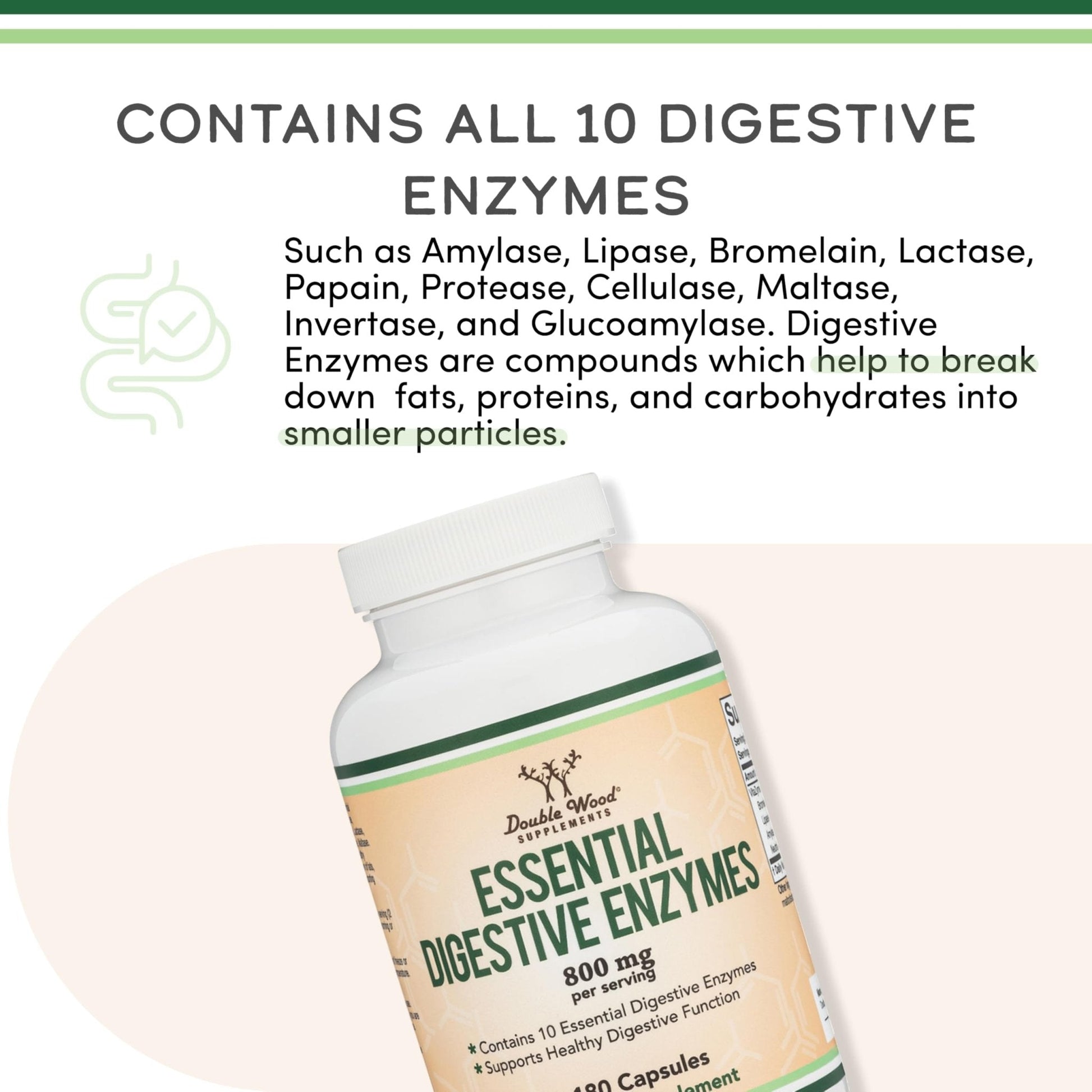 Digestive Enzymes - 800mg Blend of All 10 Most Essential Digestive and Pancreatic Enzymes (Amylase, Lipase, Bromelain, Lactase, Papain, Protease - PrimeBioHealth - canada supplements