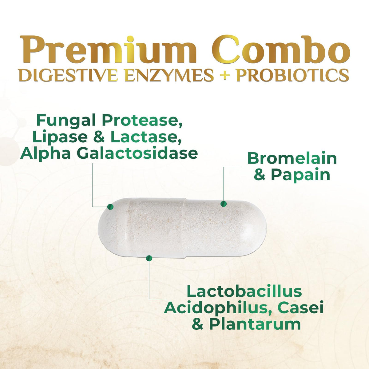 Digestive Enzymes - Super Digestive Multi Enzyme Complex for Bloating & Gut Health Support with Bromelain, Papain, Probiotics & Prebiotics - Digestion Health - PrimeBioHealth - canada supplements