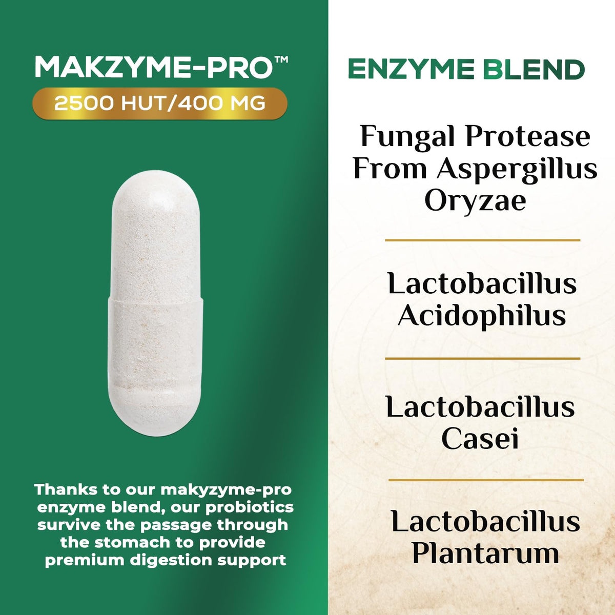Digestive Enzymes - Super Digestive Multi Enzyme Complex for Bloating & Gut Health Support with Bromelain, Papain, Probiotics & Prebiotics - Digestion Health - PrimeBioHealth - canada supplements