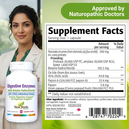 Digestive Enzymes with Ox Bile and Betaine HCl (100 Caps) Ox Bile Supplements for No Gallbladder with Papain & Pepsin A | Pancrease Cleanse & Detox - PrimeBioHealth - canada supplements