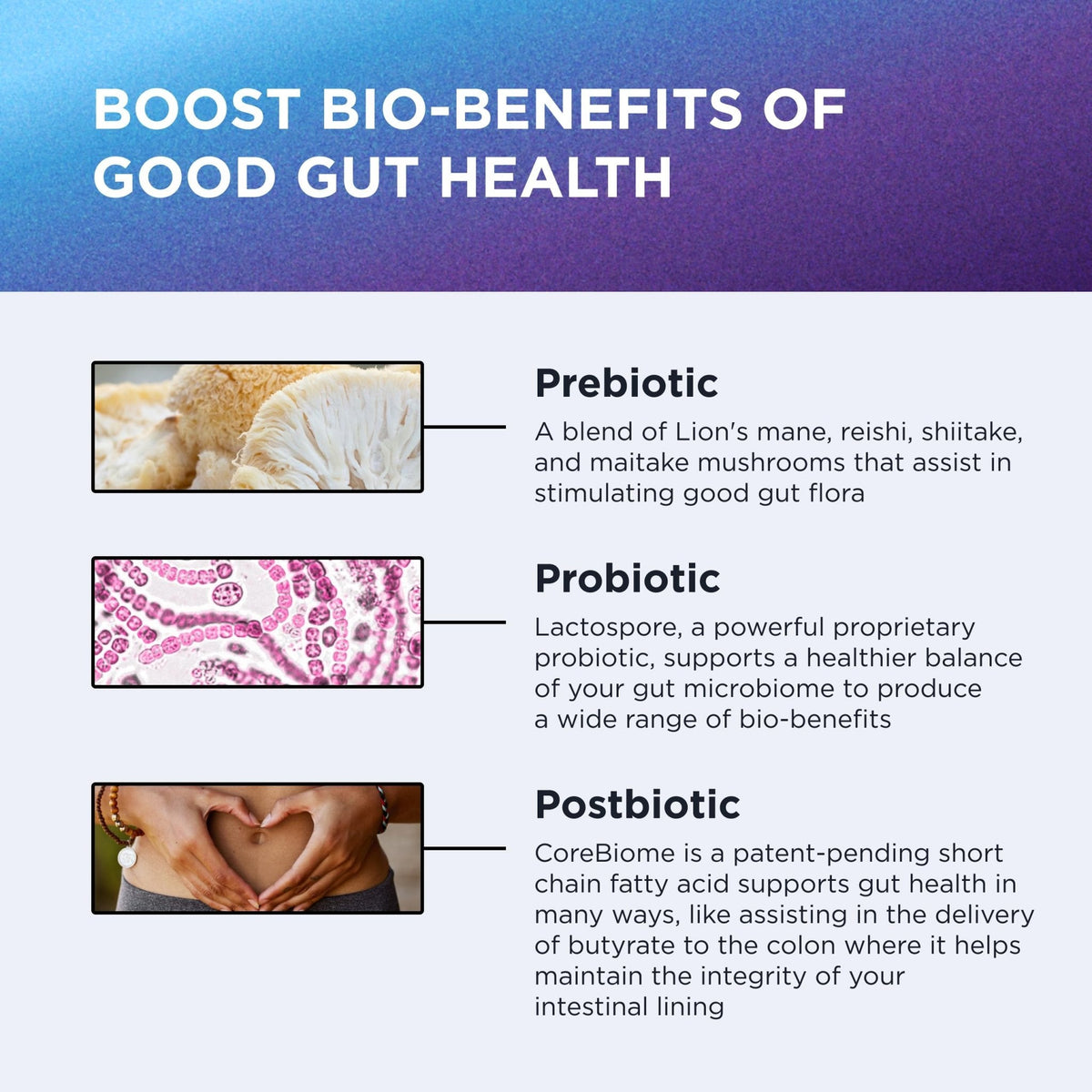 DR. EMIL NUTRITION Total Gut Health Complex - Prebiotic, Probiotic & Postbiotic Supplement - Supports Digestive Health, Bloating & Gut Balance - PrimeBioHealth - canada supplements