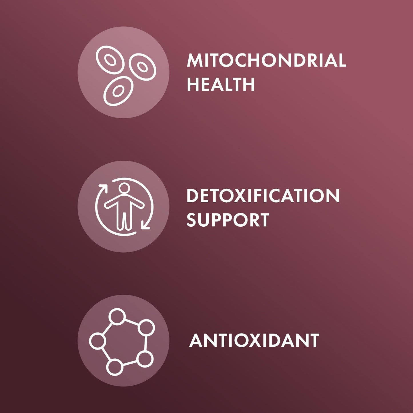 Dr. Mercola NAC with Milk Thistle - with Antioxidants - Supports Normal Detoxification Processes - 500 mg N-Acetyl-Cysteine per Serving - Non-GMO - PrimeBioHealth - canada supplements