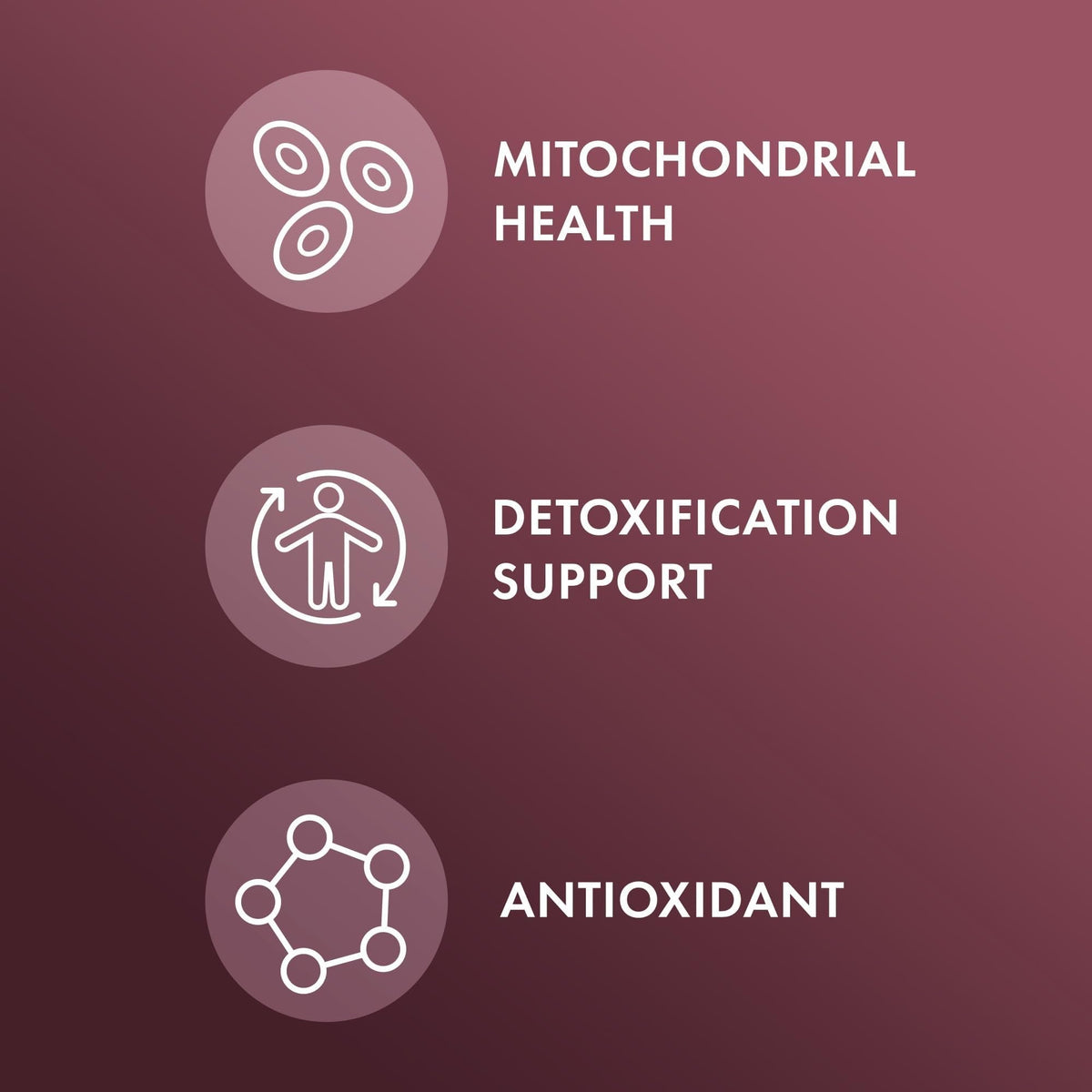 Dr. Mercola NAC with Milk Thistle - with Antioxidants - Supports Normal Detoxification Processes - 500 mg N-Acetyl-Cysteine per Serving - Non-GMO - PrimeBioHealth - canada supplements