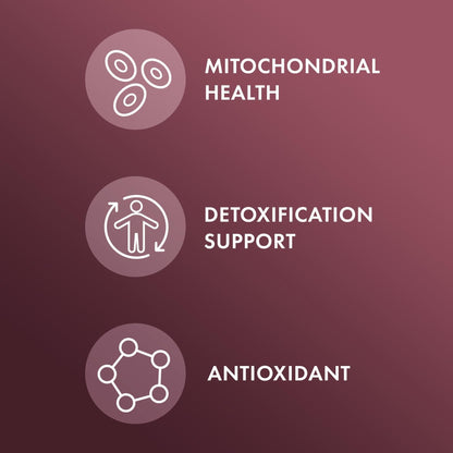 Dr. Mercola NAC with Milk Thistle - with Antioxidants - Supports Normal Detoxification Processes - 500 mg N-Acetyl-Cysteine per Serving - Non-GMO - PrimeBioHealth - canada supplements
