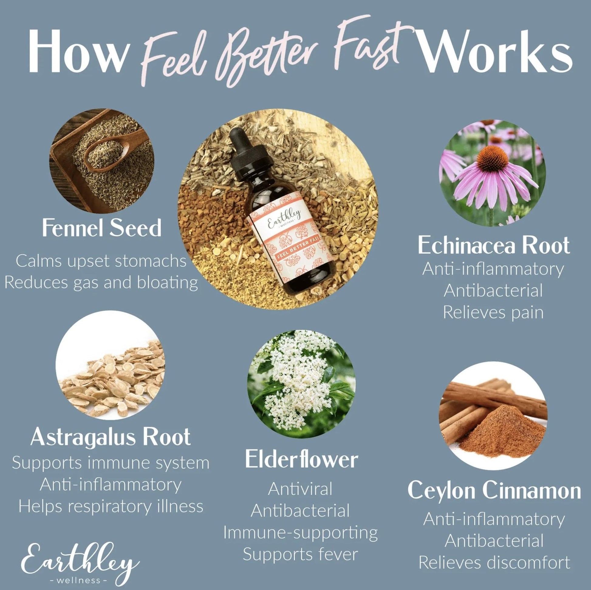 Earthley Wellness Feel Better Fast, All-Natural Relief for Minor Ailments, Organic Herbal Formula, Supports Immune & Digestive Health, Echinacea Root and More - PrimeBioHealth - canada supplements