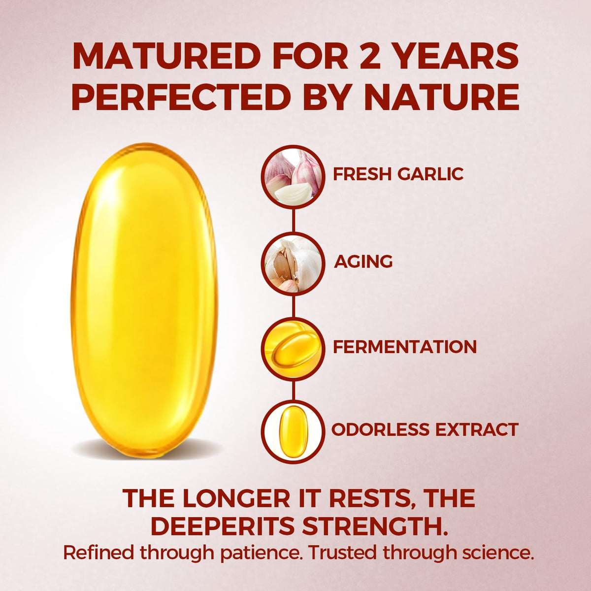 ELARE Aged Garlic Extract Capsules, Odorless Garlic 15:1 Extract Formula - 600 Count, Garlic Supplement, 2-Year Matured - PrimeBioHealth - canada supplements