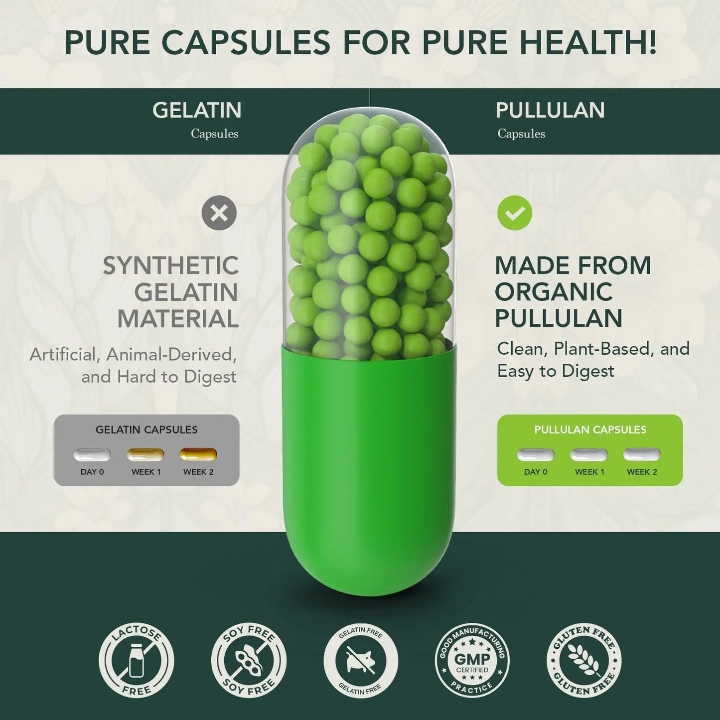 Elements of Life Multivitamin for Women – Daily Women’s Vitamins with MethyFolate, Organic Ingredients & Natural Supplements for Energy - PrimeBioHealth - canada supplements
