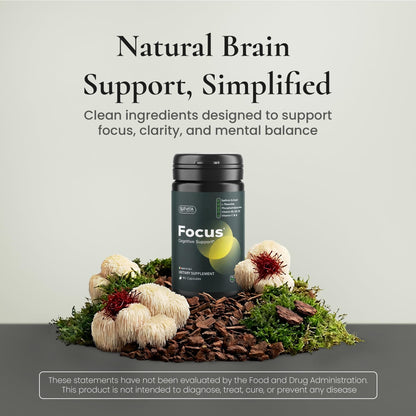 ELEVITA WELLNESS Focus Supplement (Made in Italy) | Premium Blend with L-Theanine, Lion's Mane & B Vitamins, Saffron and Vitamin D | Focus & Cognitive Support for Men & Women - PrimeBioHealth - canada supplements