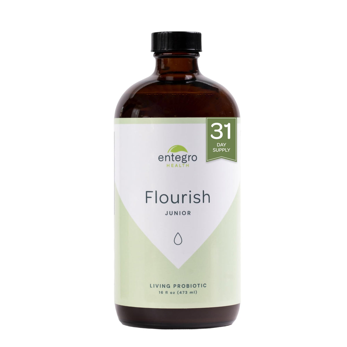 ENTEGRO Flourish Junior Liquid Probiotic & Postbiotic Supplement - Glass | 11 Live Cultures | Gut & Digestive Health for Women, Men & Kids | Organic, Vegan, Allergen Free | USA Made | 16 fl oz - PrimeBioHealth - canada supplements