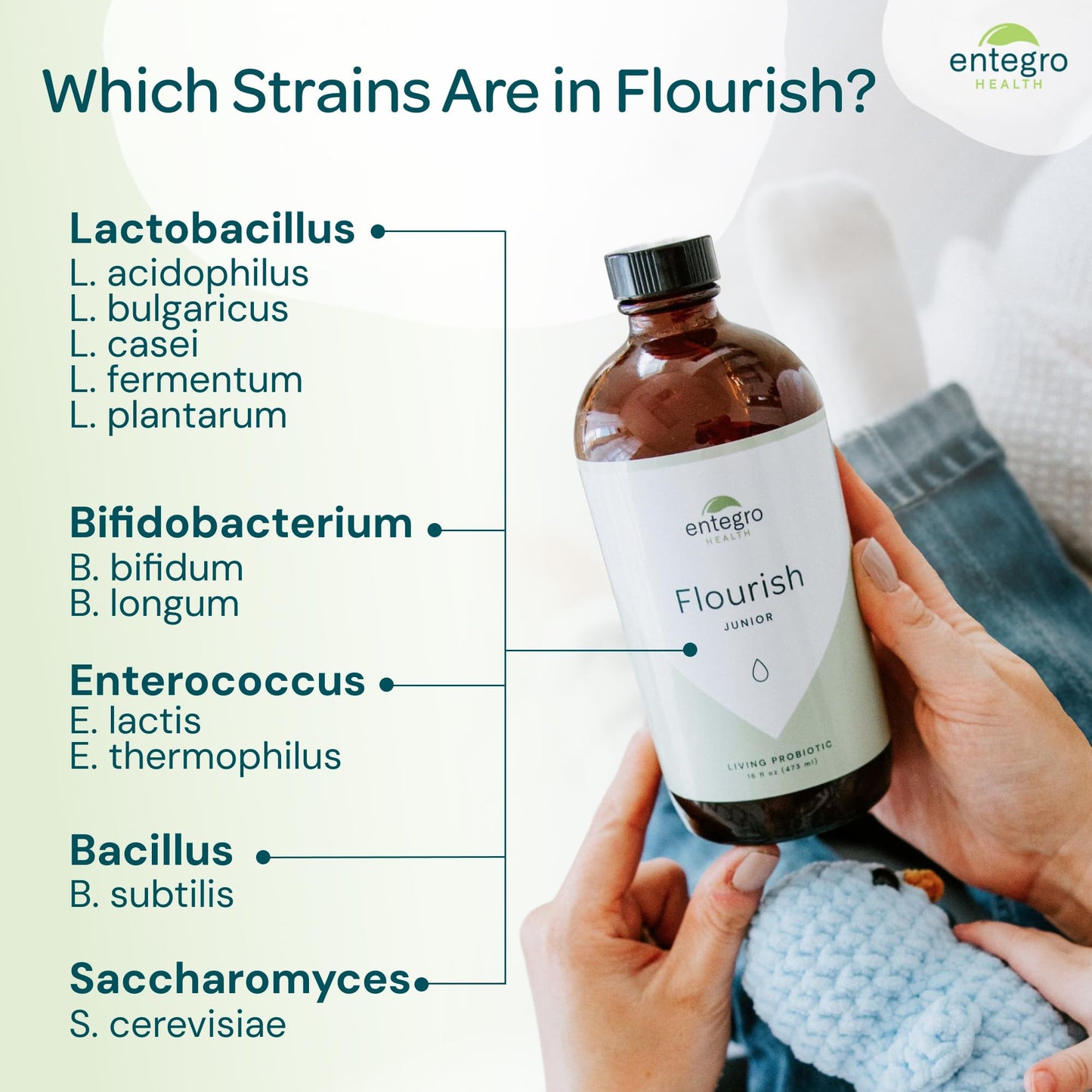 ENTEGRO Flourish Junior Liquid Probiotic & Postbiotic Supplement - Glass | 11 Live Cultures | Gut & Digestive Health for Women, Men & Kids | Organic, Vegan, Allergen Free | USA Made | 16 fl oz - PrimeBioHealth - canada supplements