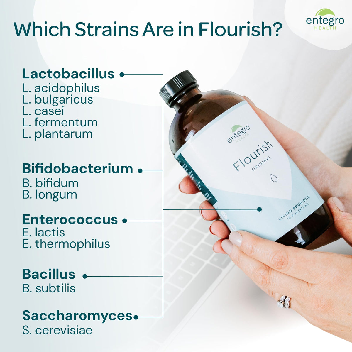 ENTEGRO Flourish Original Liquid Probiotic & Postbiotic Supplement - Glass | 11 Live Cultures | Gut & Digestive Health for Women, Men & Kids | Organic, Vegan - PrimeBioHealth - canada supplements