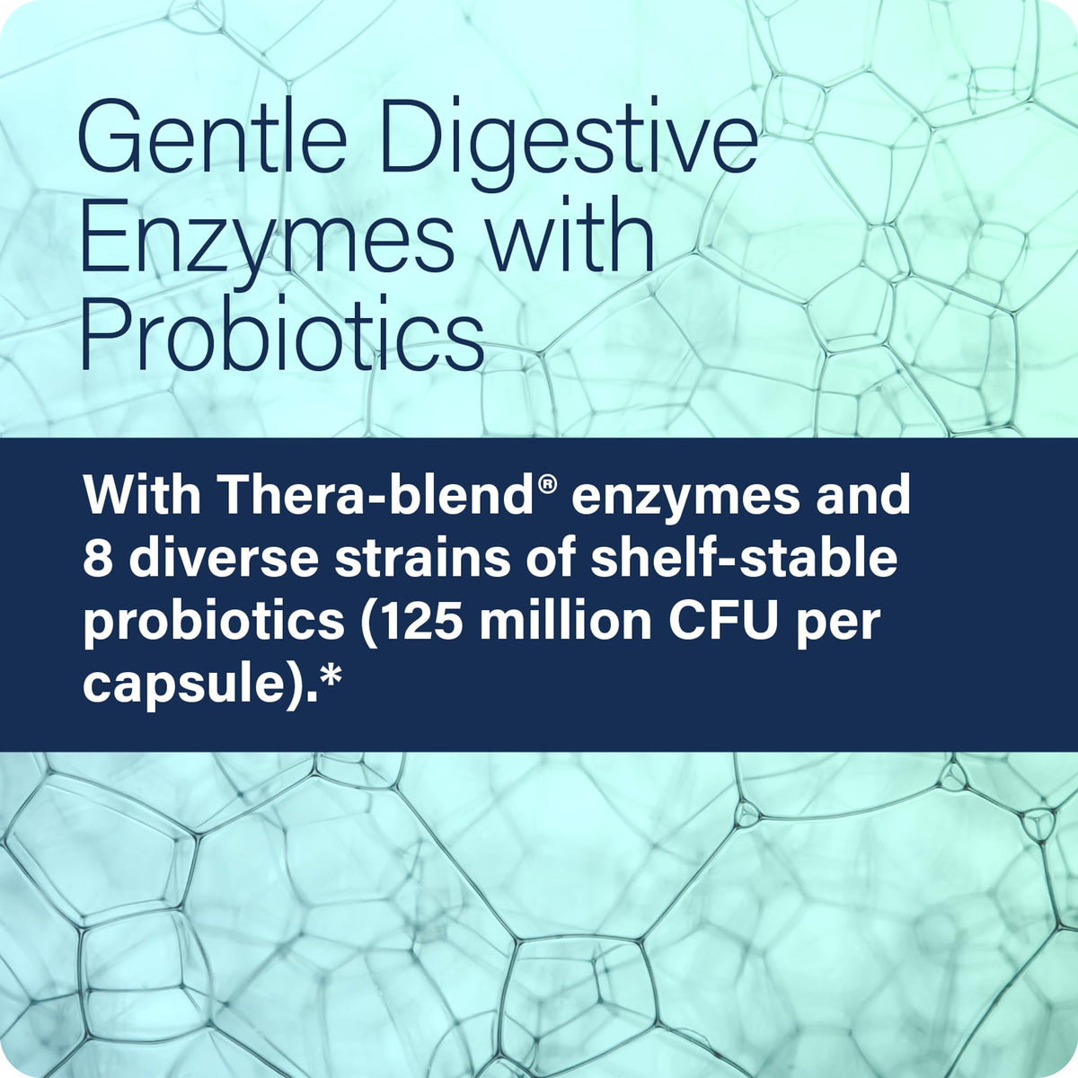 Enzyme Science Complete Digestion - Digestive enzymes for women and for men with probiotics - 3-in1 Gut Health Support for Digestion - Digestive health - PrimeBioHealth - canada supplements