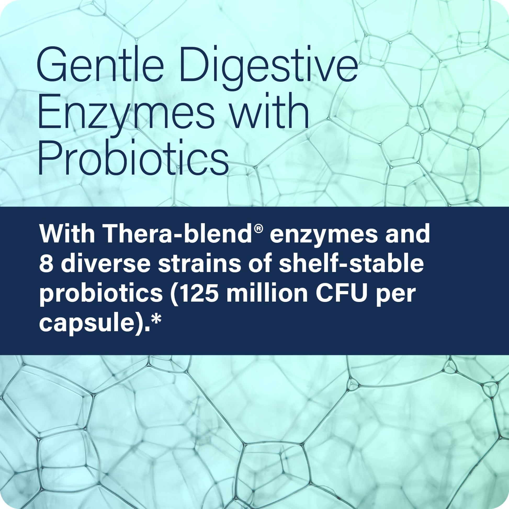 Enzyme Science Complete Digestion - Digestive enzymes for women and for men with probiotics - 3-in1 Gut Health Support for Digestion - Digestive health - PrimeBioHealth - canada supplements