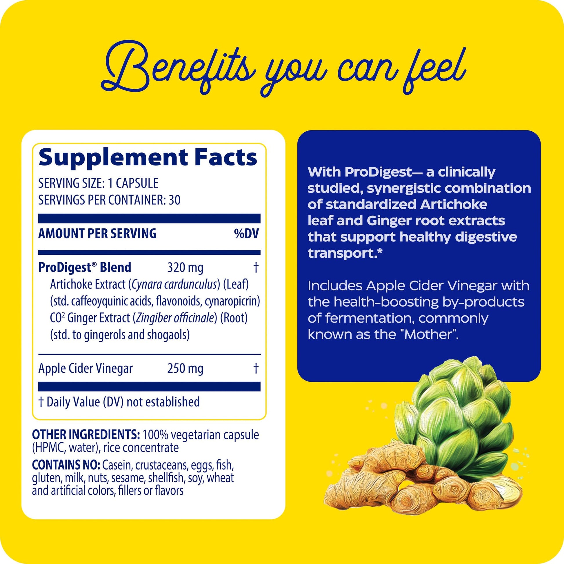 Enzymedica Gut Motility Supplement for Men & Women - Apple Cider Vinegar Capsules with Artichoke & Ginger Extract, Digestive Health Support for Adults - PrimeBioHealth - canada supplements