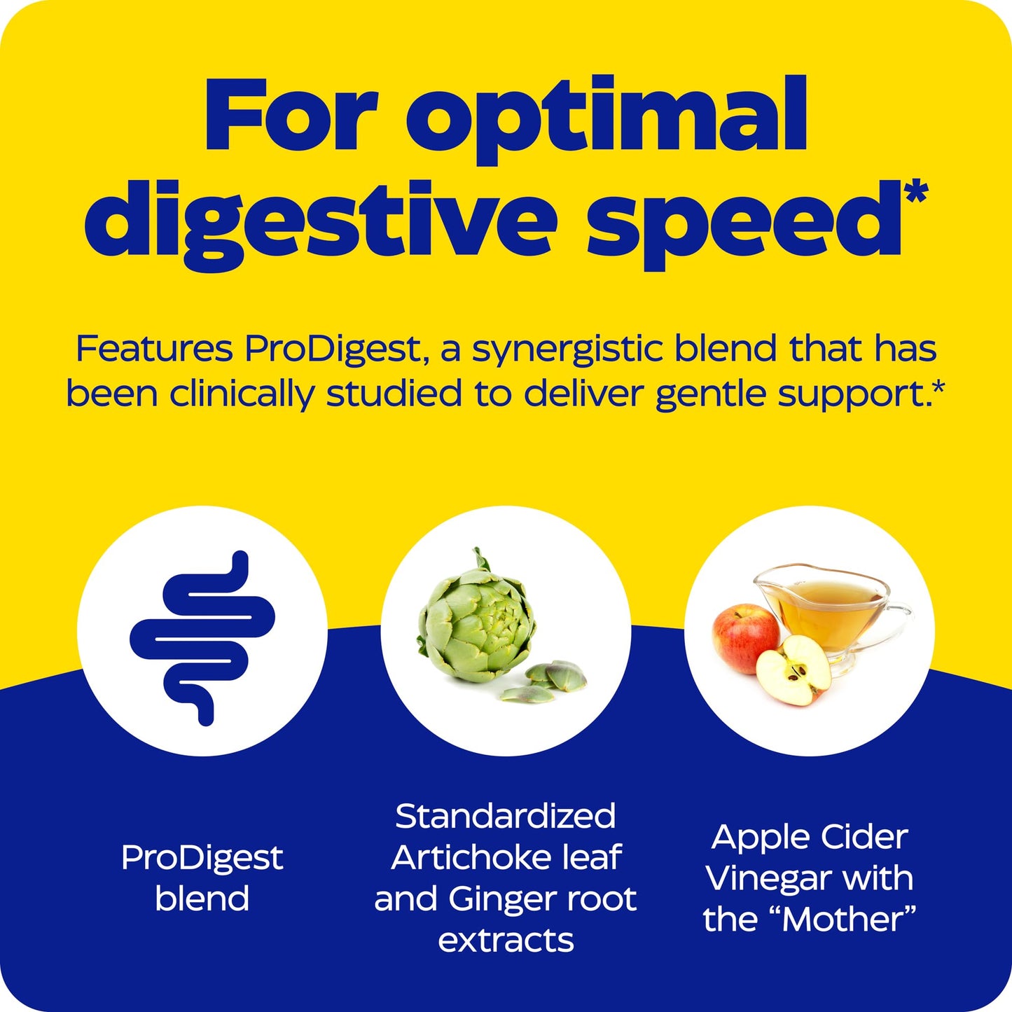 Enzymedica Gut Motility Supplement for Men & Women - Apple Cider Vinegar Capsules with Artichoke & Ginger Extract, Digestive Health Support for Adults - PrimeBioHealth - canada supplements