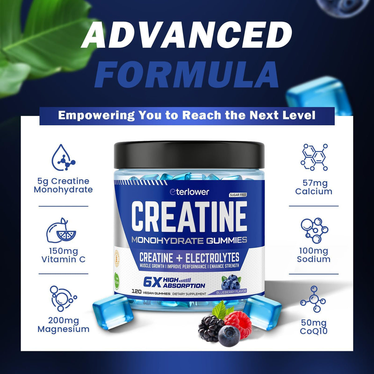 eterlower Creatine Monohydrate Gummies 5g – Pre-Workout Energy & Muscle Growth Support for Men & Women | Blueberry Electrolyte Gummies, 120 Count - PrimeBioHealth - canada supplements