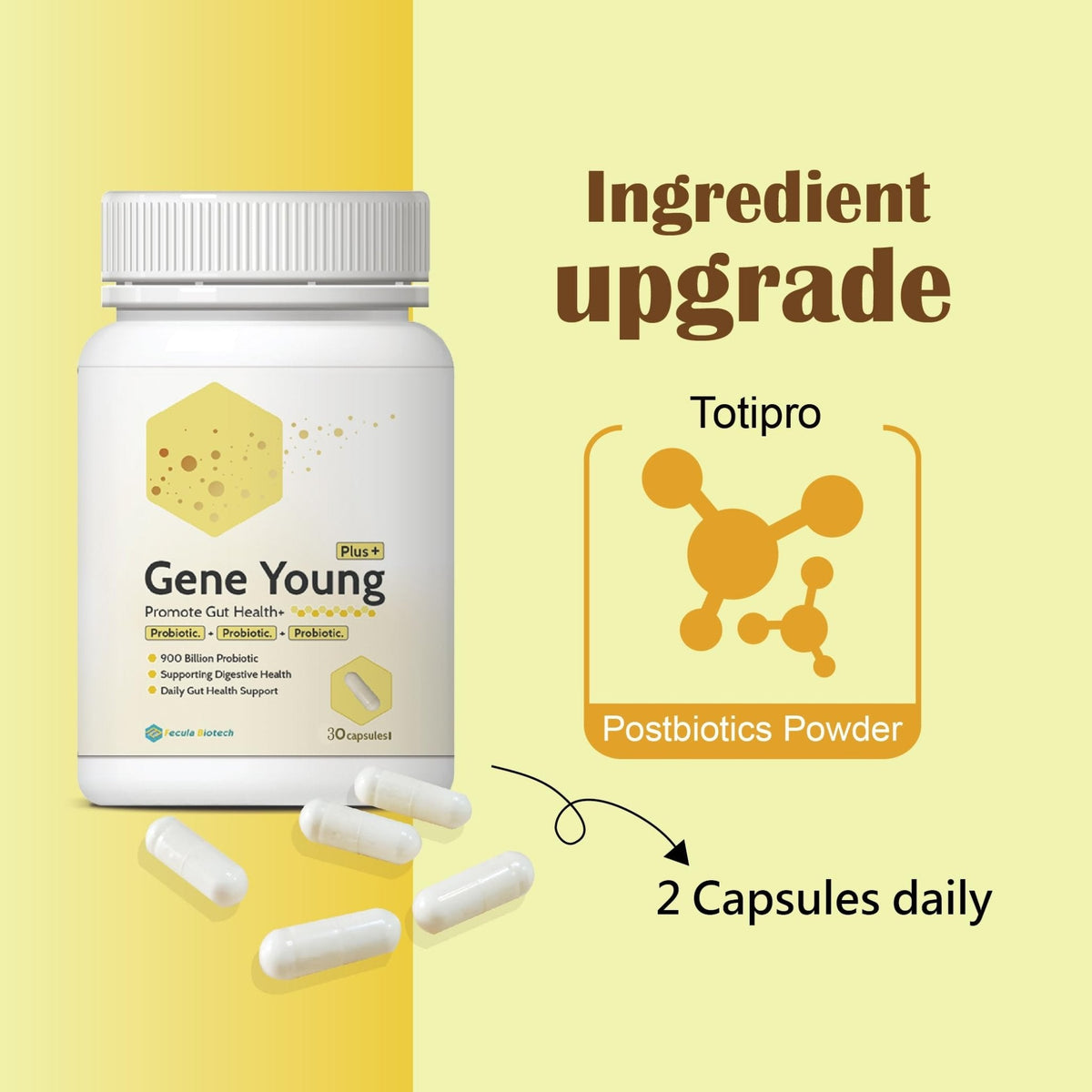 Fecula Biotech Synbiotic for Gut Health | 3-in-1 Daily Prebiotic, Probiotic, Postbiotic for Digestive Health, Bloat & Immune Support - PrimeBioHealth - canada supplements