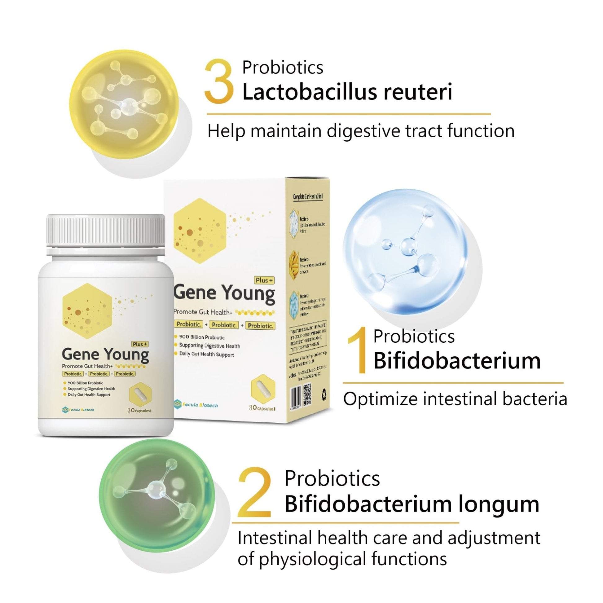 Fecula Biotech Synbiotic for Gut Health | 3-in-1 Daily Prebiotic, Probiotic, Postbiotic for Digestive Health, Bloat & Immune Support - PrimeBioHealth - canada supplements
