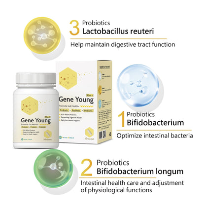 Fecula Biotech Synbiotic for Gut Health | 3-in-1 Daily Prebiotic, Probiotic, Postbiotic for Digestive Health, Bloat & Immune Support - PrimeBioHealth - canada supplements