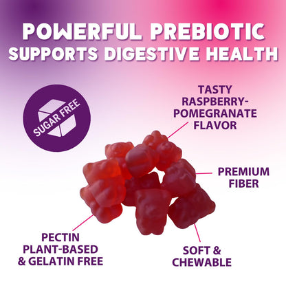 Fiber Gummies – Sugar Free Prebiotic Plant-Based Fiber 4g per Serving Supplement - Improved Soluble Formula Supports Digestive Health & Regularity - Non-GMO, - PrimeBioHealth - canada supplements