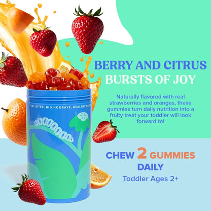 FIRST DAY Toddler Multivitamin Gummies (Ages 2-3)| Kids Multivitamin Gummies with Vitamins A C D3, B2, B12, Choline, Folate and 21 Organic Superfoods| (30 Day Supply) - PrimeBioHealth - canada supplements