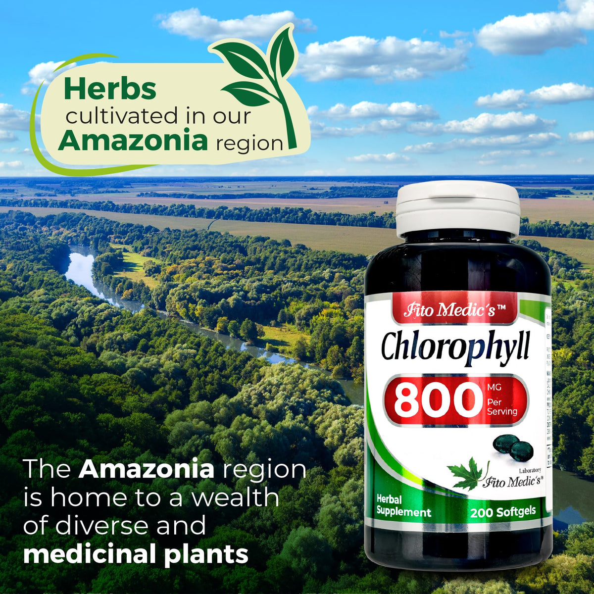 FITO MEDIC'S Lab Chlorophyll Supplement, 200 Softgels, Chlorophyll Capsules - PrimeBioHealth - canada supplements