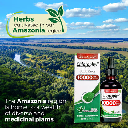 FITO MEDIC'S Lab | Liquid Chlorophyll | Chlorophyll Liquid Drops | 50 mg 200:1 Ratio Extract per Serving. - PrimeBioHealth - canada supplements