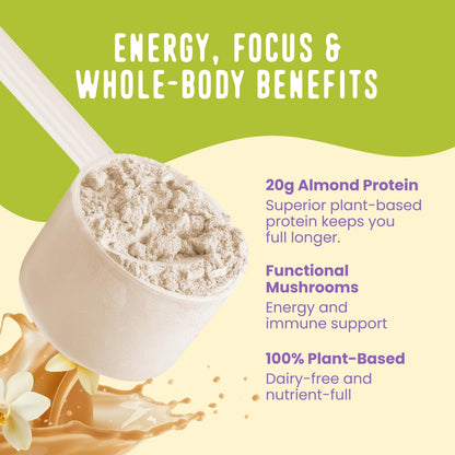 FlavCity Vegan Almond Protein Shake Powder, Vanilla Cream + Reishi & Cordyceps Mushrooms - Focus, Skin, Hair & Joint Support - Organic Fruit All in One Smoothie On-the-Go, 20 Servings - PrimeBioHealth - canada supplements