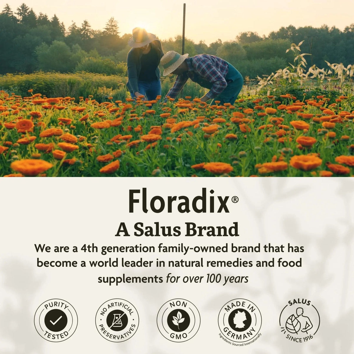 Floradix Kinder Love Children's Multivitamin - Herbal Supplement - Liquid Multivitamin for Kids - Vitamins A, C, D & E, Calcium & More - PrimeBioHealth - canada supplements