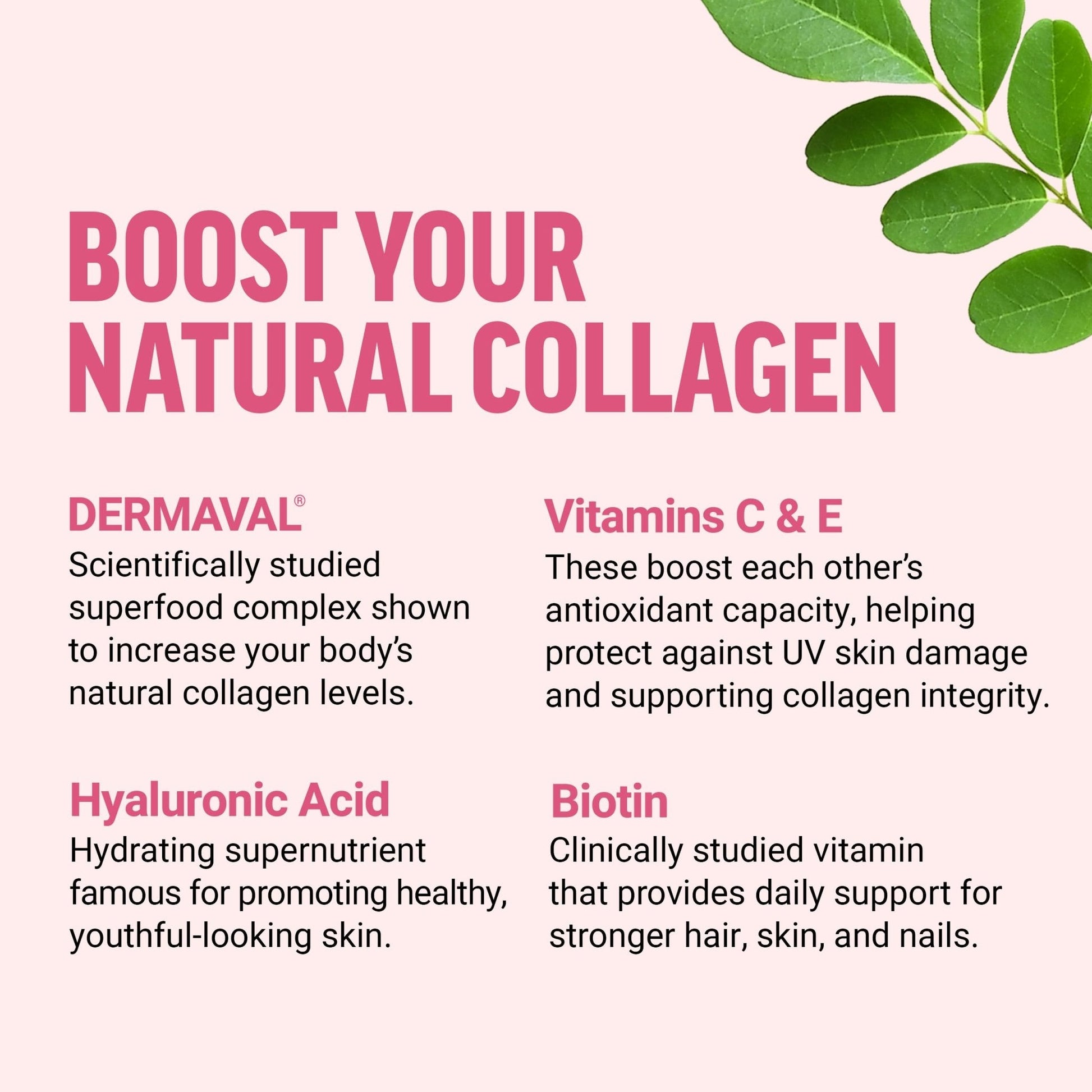 Force Factor Collagen Boosting Superfoods, Vegan Collagen Booster for Women, with Biotin, Hyaluronic Acid, and Vitamin C, for Hair, Skin, Nails, & Joint Support - PrimeBioHealth - canada supplements