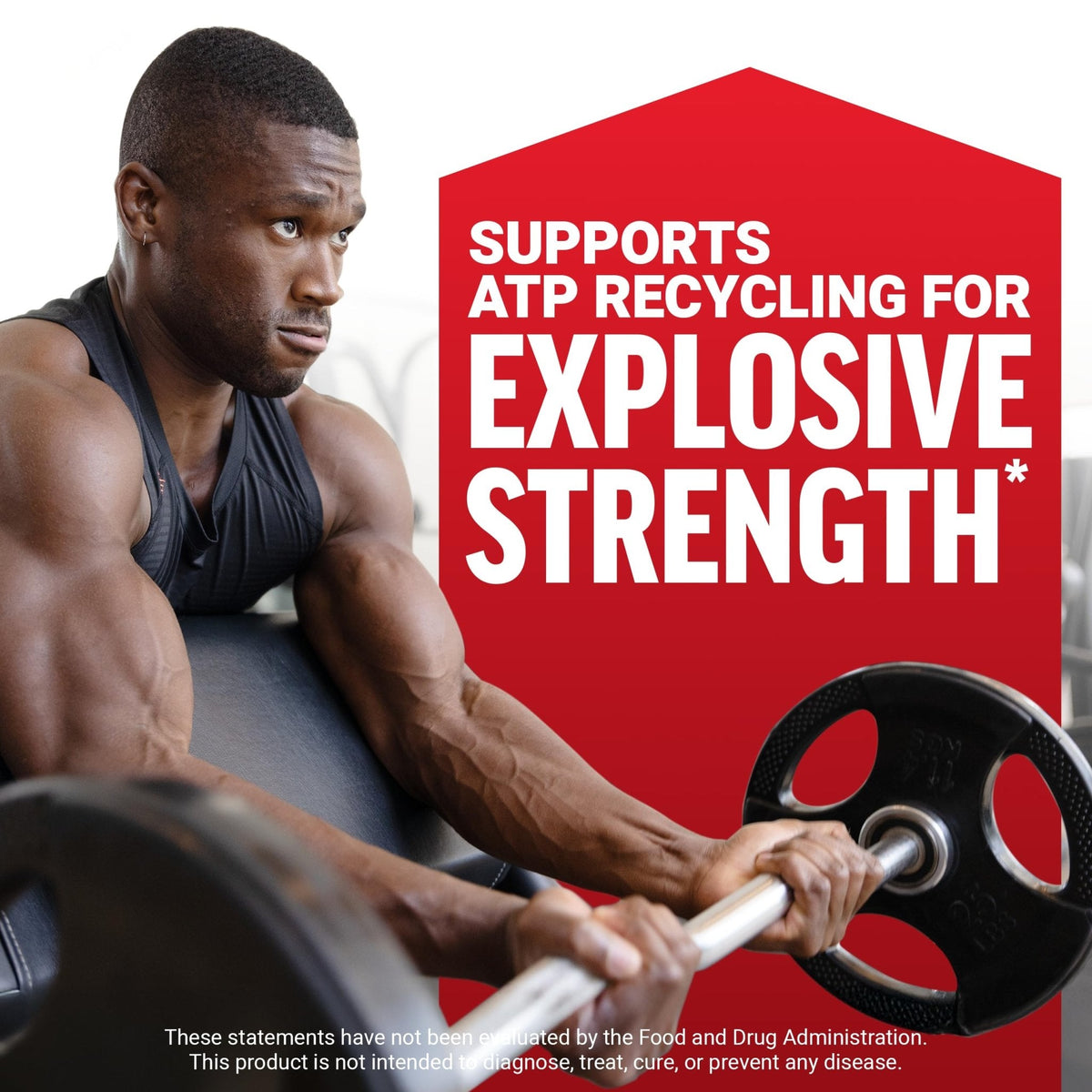 Force Factor Creatine Monohydrate Powder, 5g Micronized Dose to Support Muscle Growth, Strength, Recovery, Cognitive Health & Memory - PrimeBioHealth - canada supplements