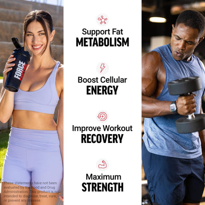 Force Factor L-Carnitine Liquid 3000mg, Maximum Strength Supplement to Support Fat Metabolism, Cellular Energy & Muscle Recovery, High Absorbing - PrimeBioHealth - canada supplements