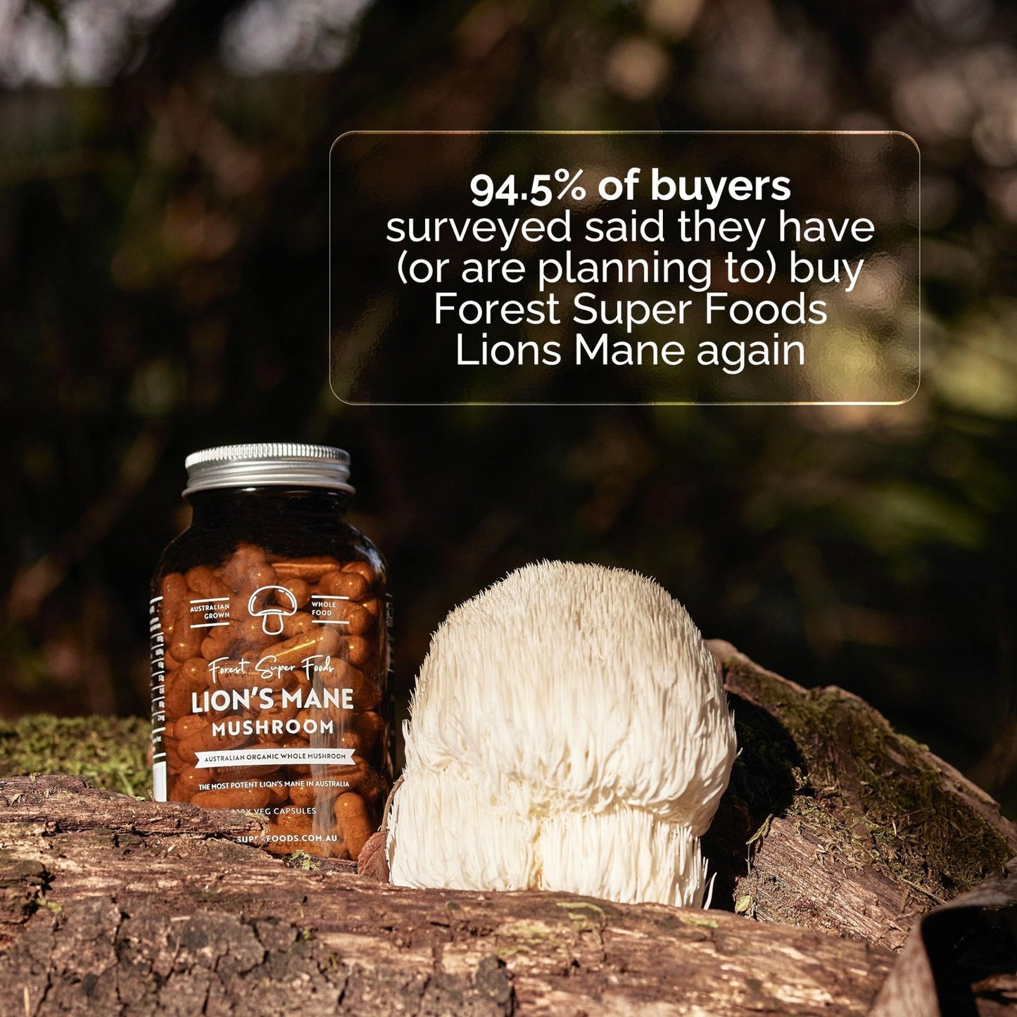 Forest Super Foods Lions Mane Supplement Capsules (120 Capsules) Organic Lions Mane Mushroom | Memory Lift Brain Supplement for Focus and Productivity. Lion Mane, Grown & Made in Australia - PrimeBioHealth - canada supplements