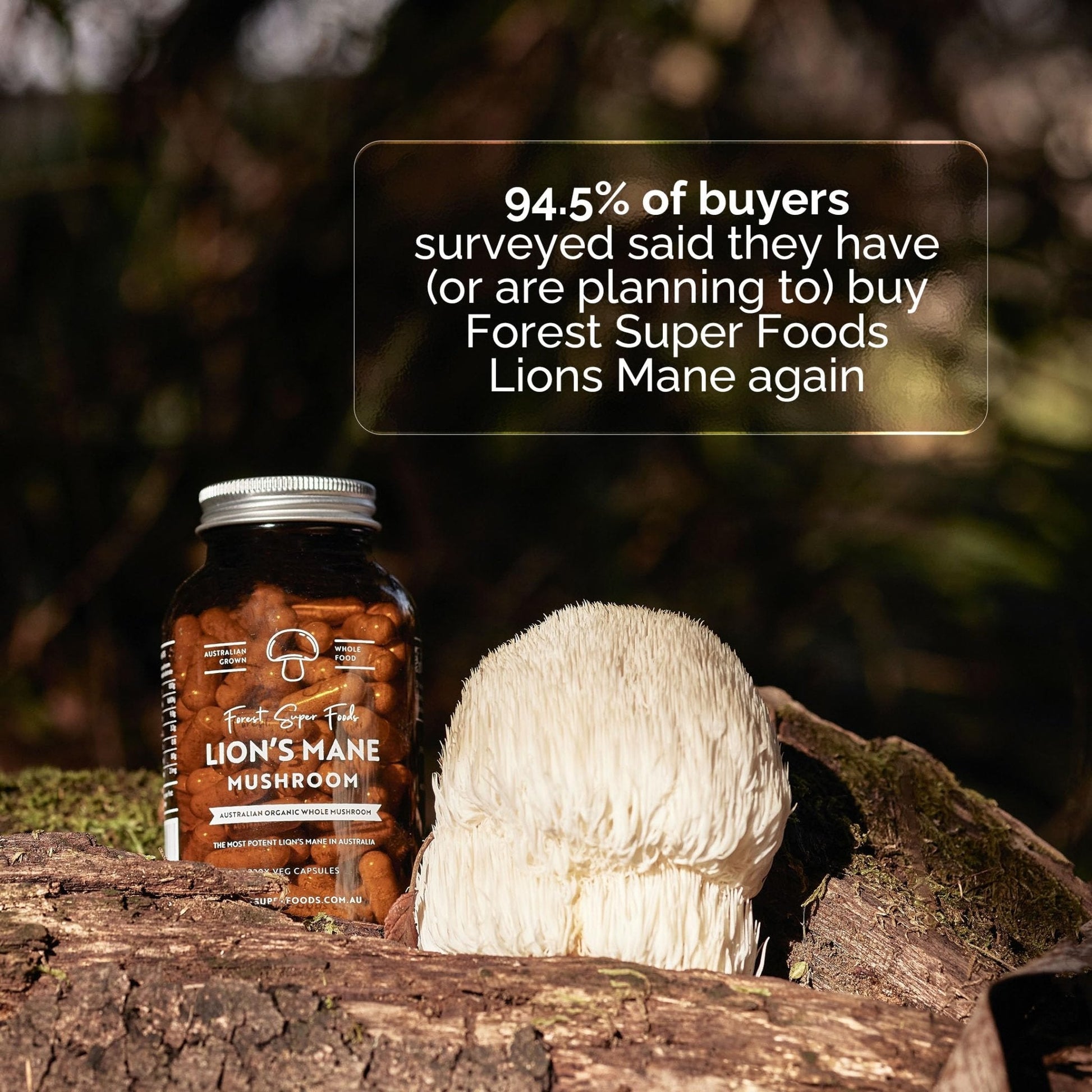 Forest Super Foods Lions Mane Supplement Capsules (120 Capsules) Organic Lions Mane Mushroom | Memory Lift Brain Supplement for Focus and Productivity. Lion Mane, Grown & Made in Australia - PrimeBioHealth - canada supplements