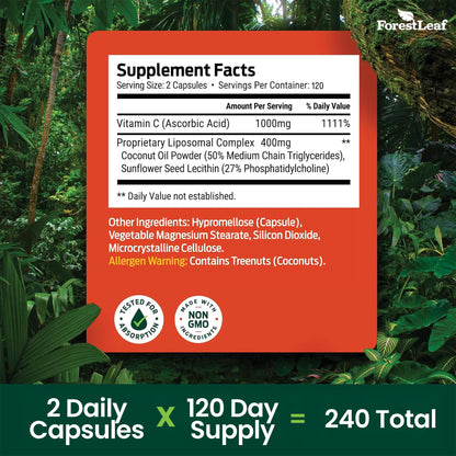 ForestLeaf Liposomal Vitamin C 1400mg Capsules | High Dose Vitamin C Liposomal Supplement w Coconut Oil Fatty Acids | Fast Absorption | Immune Support, Antioxidant, - PrimeBioHealth - canada supplements