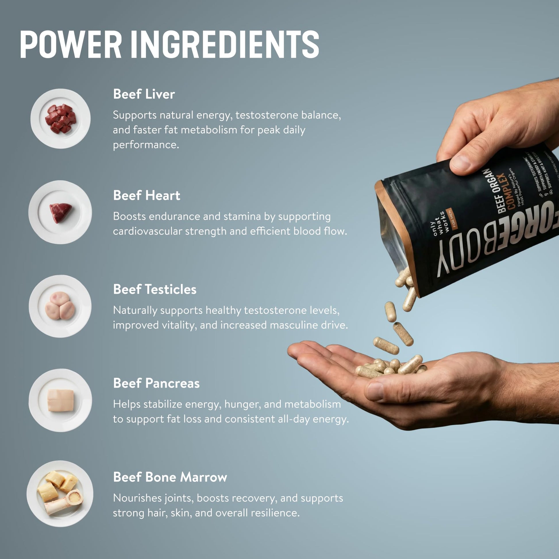 FORGEBODY® Beef Organ Complex Capsules [1 Month] - 100% Grass Fed Beef Organ Supplement with Blend of Liver, Heart, Bone Marrow, Pancreas & Testicles - PrimeBioHealth - canada supplements