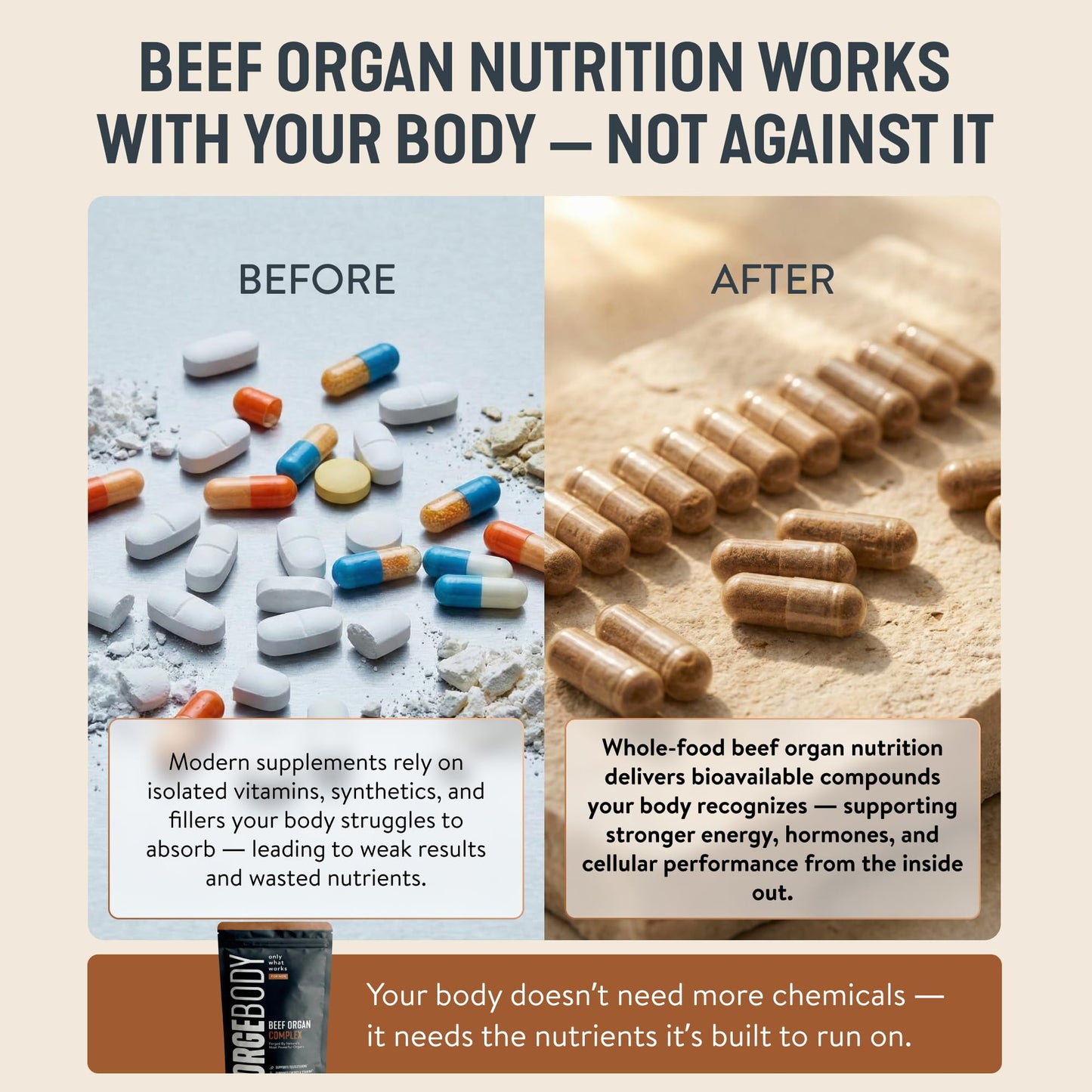 FORGEBODY® Beef Organ Complex Capsules [1 Month] - 100% Grass Fed Beef Organ Supplement with Blend of Liver, Heart, Bone Marrow, Pancreas & Testicles - PrimeBioHealth - canada supplements