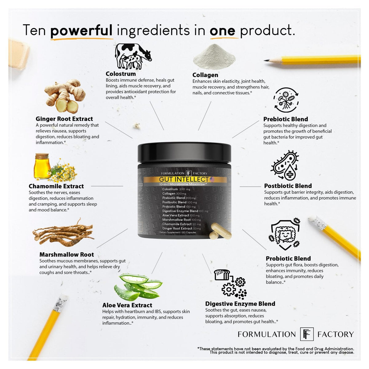 Formulation Factory Probiotics for Women & Men - Gut Intellect 10-in-1 Digestive Enzymes with Prebiotics and Postbiotics - Total Gut Health Supplement - PrimeBioHealth - canada supplements