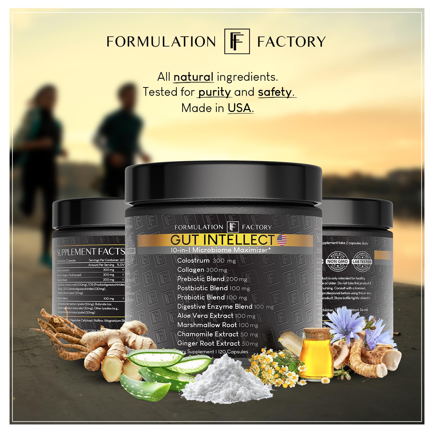 Formulation Factory Probiotics for Women & Men - Gut Intellect 10-in-1 Digestive Enzymes with Prebiotics and Postbiotics - Total Gut Health Supplement - PrimeBioHealth - canada supplements