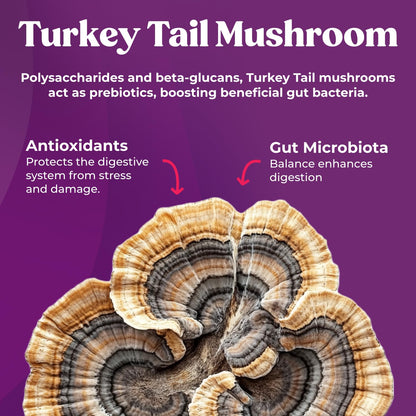 Fungiments Super Prune - Mushroom Supplement - Turkey Tail Mushrooms, Fiber, Rhubarb, Prunes, Ginger, Chamomile - Debloating, Constipation Relief - PrimeBioHealth - canada supplements