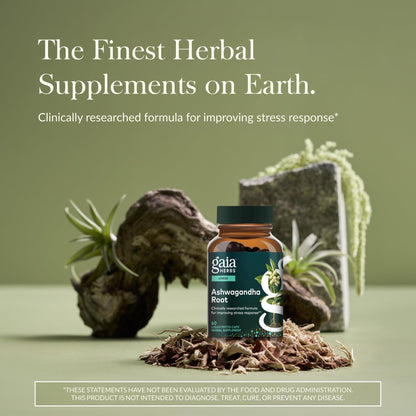 Gaia Herbs Ashwagandha Root - Stress Relief & Sleep Support Supplement - Supports Balanced Energy Levels & Positive Outlook - PrimeBioHealth - canada supplements