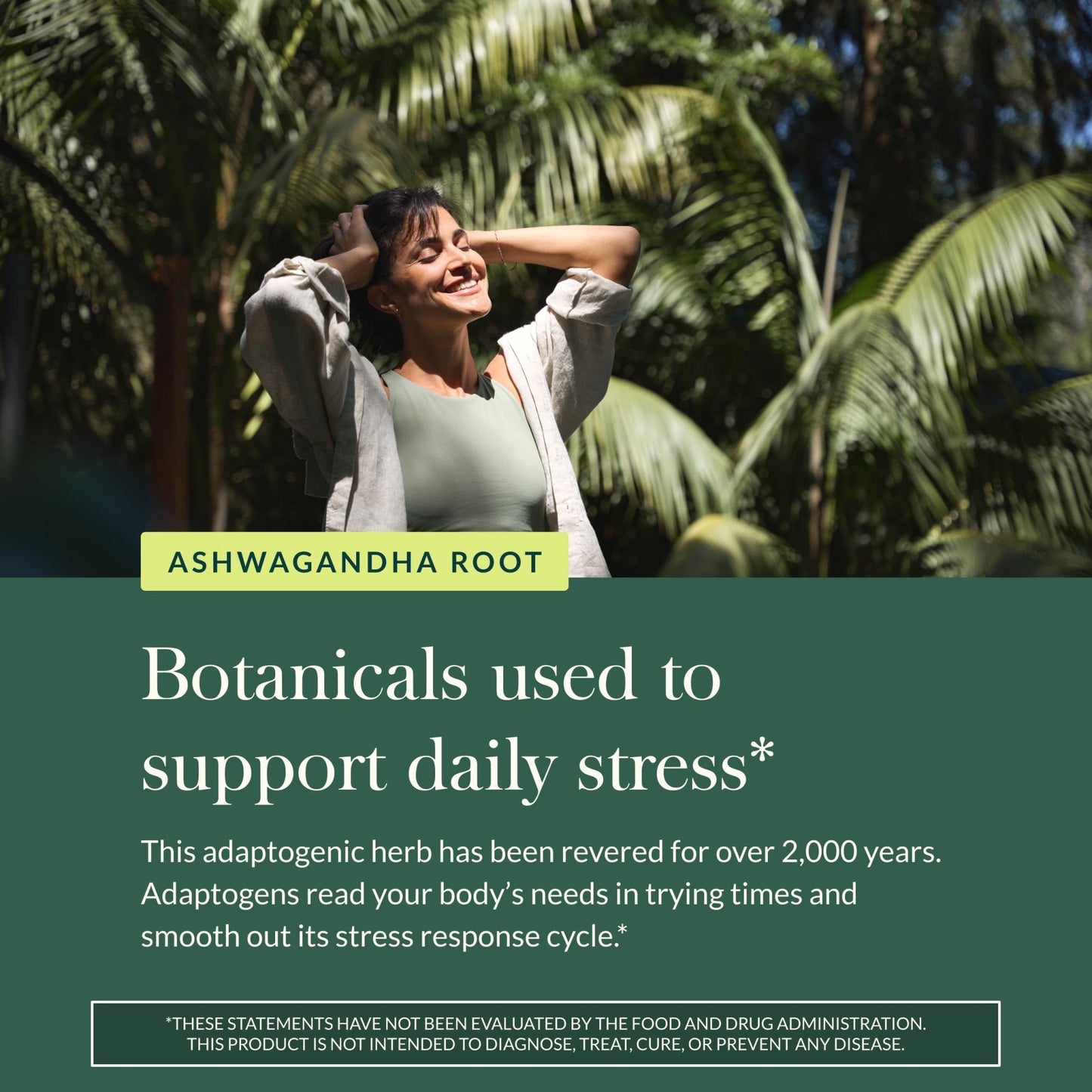 Gaia Herbs Ashwagandha Root - Stress Relief & Sleep Support Supplement - Supports Balanced Energy Levels & Positive Outlook - PrimeBioHealth - canada supplements