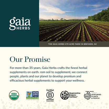 Gaia Herbs Ashwagandha Root - Stress Relief & Sleep Support Supplement - Supports Balanced Energy Levels & Positive Outlook - PrimeBioHealth - canada supplements