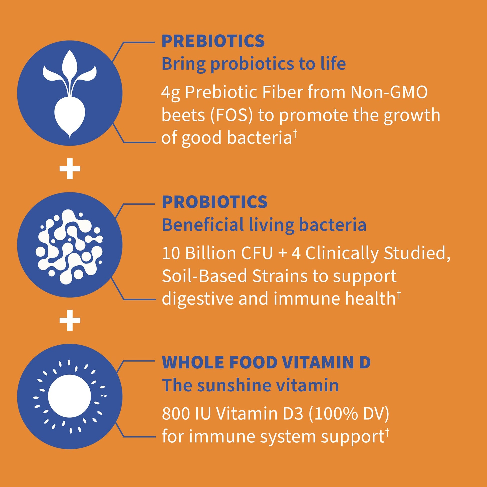 Garden of Life Dr Formulated 10 Billion CFU Prebiotic Fiber & Probiotic Gummies with Vitamin D3 for Digestive and Immune Health – Gluten Free, Non GMO - PrimeBioHealth - canada supplements